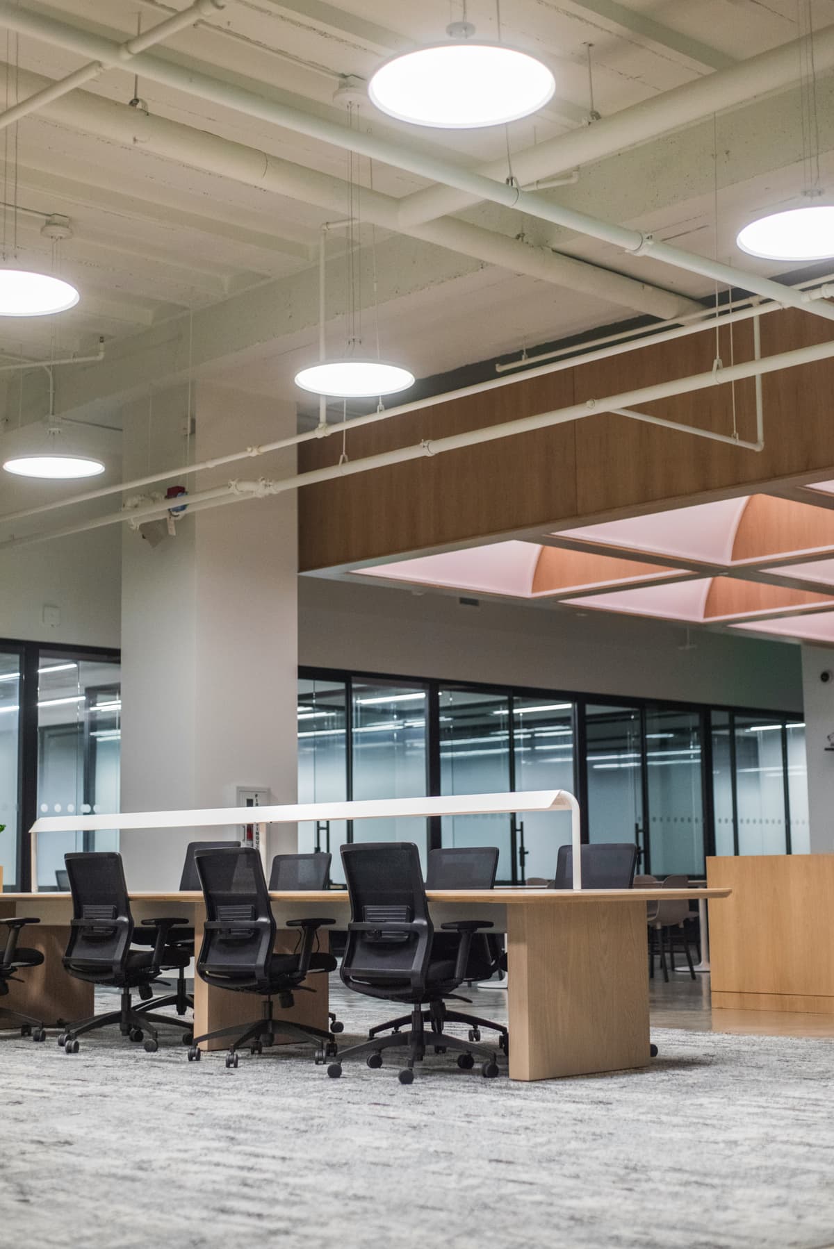 Modern office interior with painted ceilings and timber details