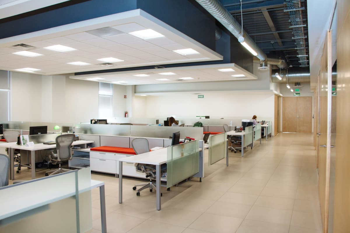 Open-plan office with clean painted walls and ceiling bulkheads